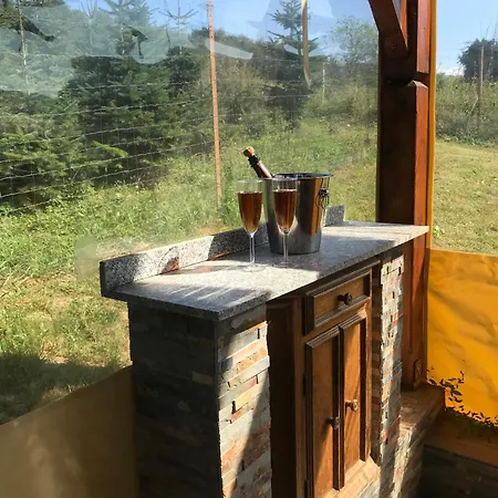 Vilă Vip Maganszallas